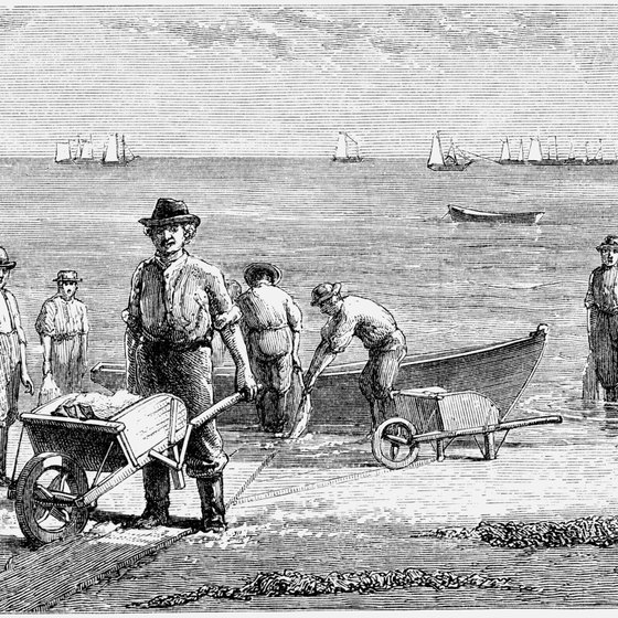 The first settlers in New England quickly realized that fishing was mandatory for their survival.