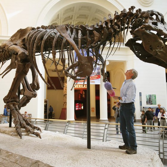 Meet Sue, the Field Museum's record-breaking T. rex.