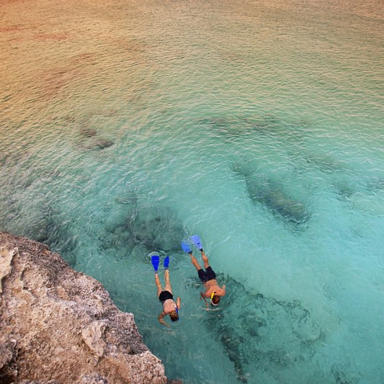 Snorkel along picturesque coral reefs when you take a boat ride to Klein Curacao.