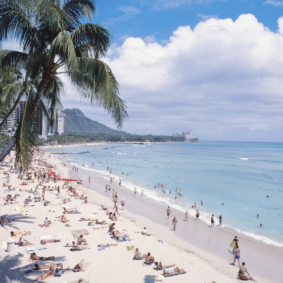 Waikiki Beach offers an ideal place for beginners to learn to snorkel in gentle conditions.
