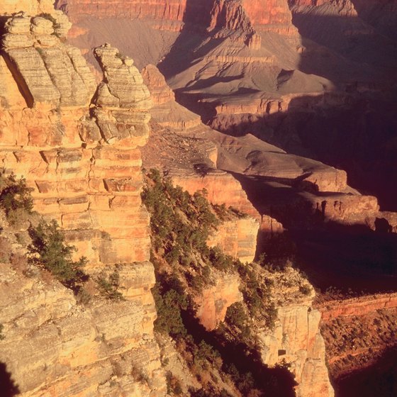 The Grand Canyon has much to offer all year round.