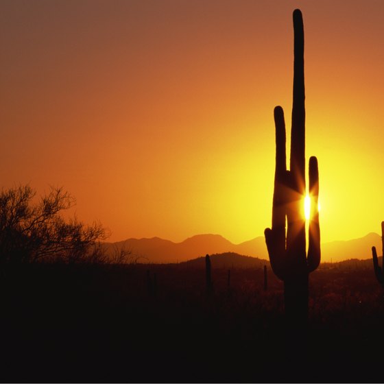 The Tucson area in southwestern Arizona includes many hiking trails.