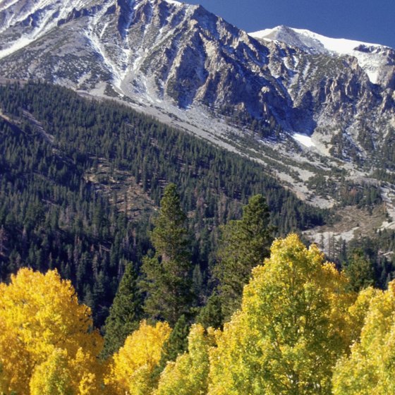In California's Sierra Nevada, mountain peaks rise above trees at Inyo National Forest.