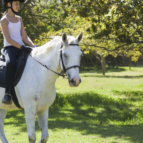Horseback riding camps help kids learn the skills necessary to safely ride a horse.