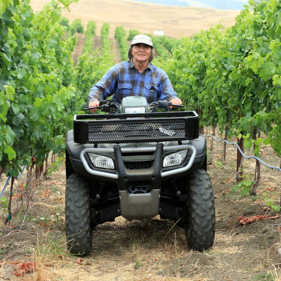 Leave vineyards behind to enjoy four-wheel drive trails east of Napa Valley.