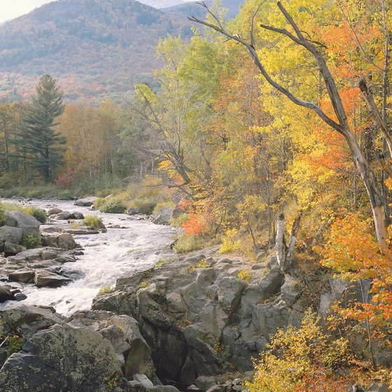 State forests are a safe bet for year-round camping, though snow might limit access.