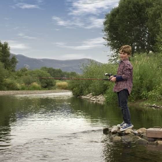Many people enjoy trout fishing in the mountains.