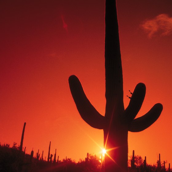 Enjoy a sunset in the Arizona desert.