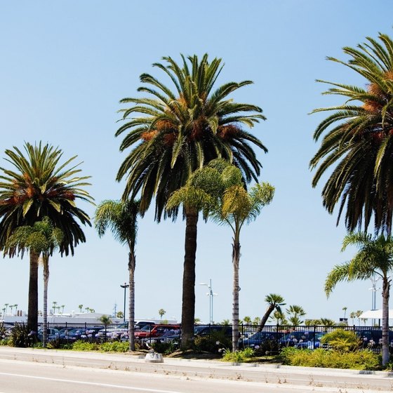 San Diego has miles of sandy beaches.