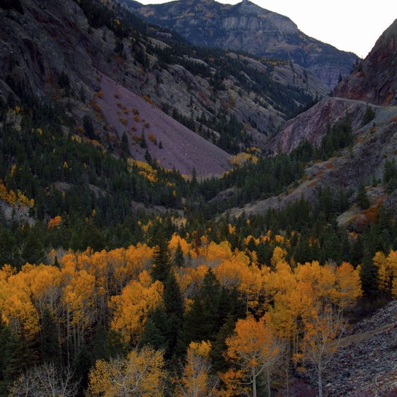 Head to scenic views off the beaten track near Ouray.