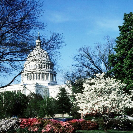 Many D.C. landmarks, like the Capitol building, remain free of charge.
