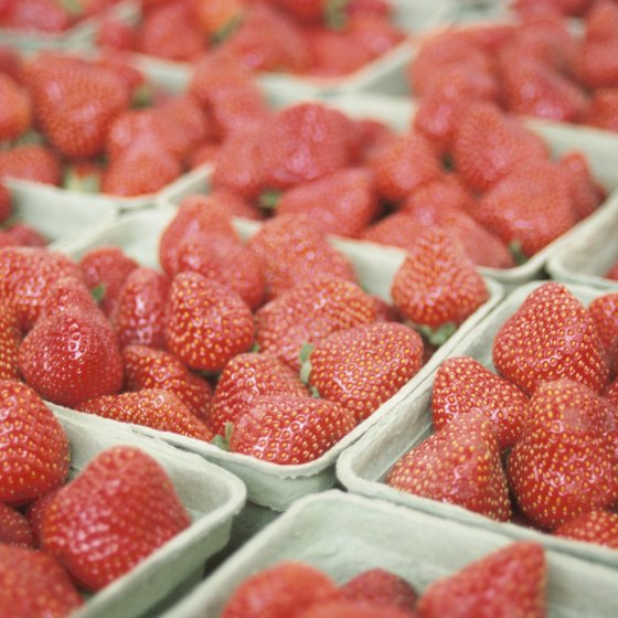 Teach the kids about agriculture by picking strawberries at a local farm.