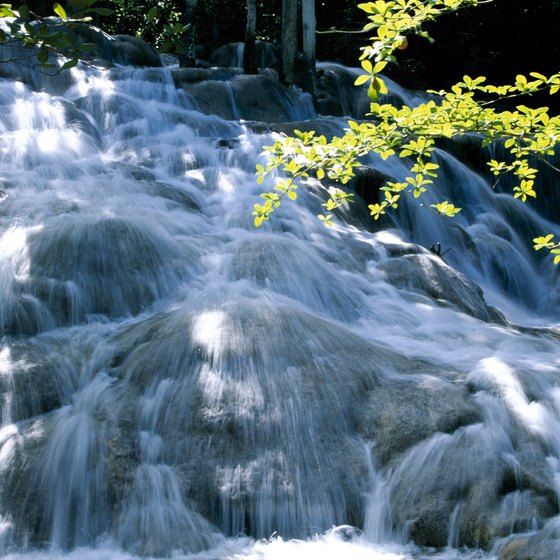 Older children may enjoy a visit to Dunn's River Falls.