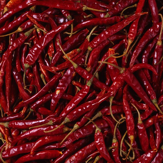 The Chile Pepper Festival features hot peppers from nearby Meadowview Farms.