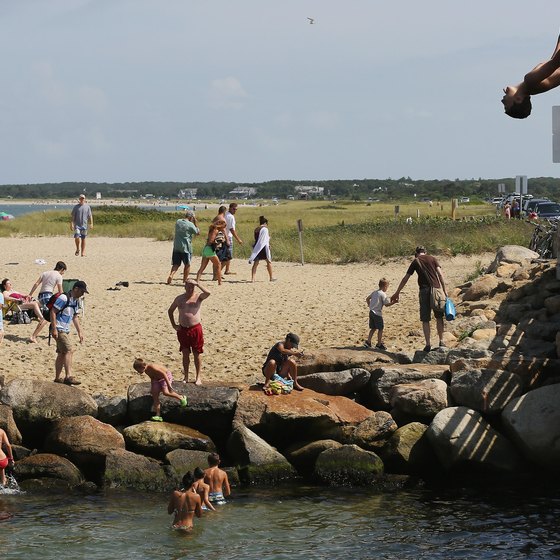 Martha's Vineyard offers more than tony houses and vacationing celebrities.