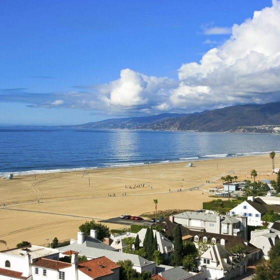 Soak up some rays on the sandy shores of Santa Monica.