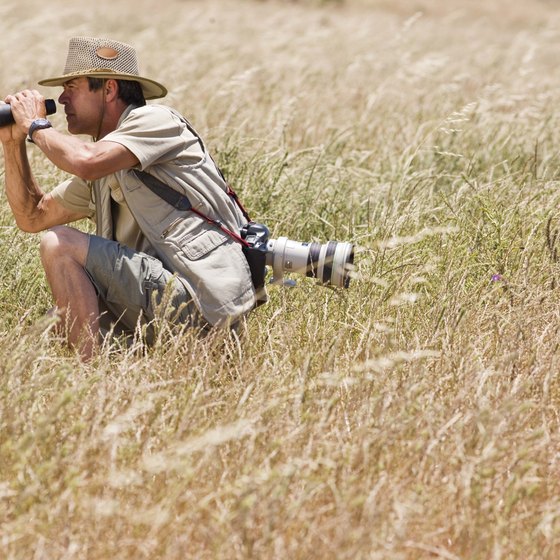 Remember to take your binoculars on your trip, so you can see the local wildlife.