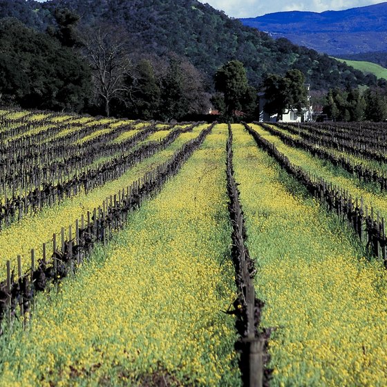 St. Helena is in the heart of California's Napa Valley.