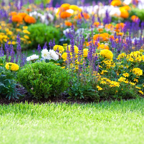 Flower Gardens in Charlotte, North Carolina USA Today