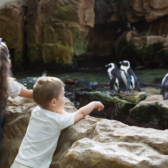 Zoos & Aquariums Near Champaign, Illinois