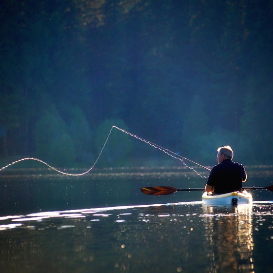 Fishing at Fall Creek Falls in Tennessee