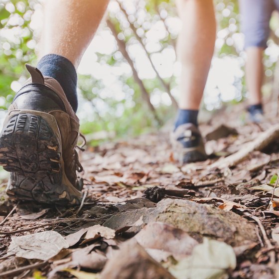 Hiking Trails Near Monteagle, Tennessee