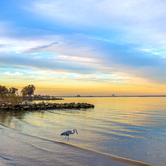 Swimming Beaches Near Pasadena, Maryland