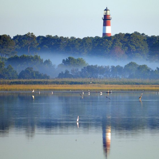 Waterfront Restaurants on Chincoteague Island, Virginia