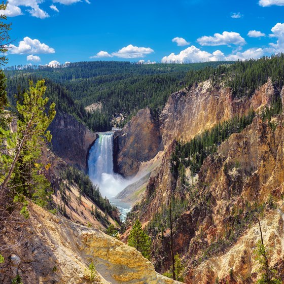 Visiting Yellowstone National Park in the Middle of August USA Today