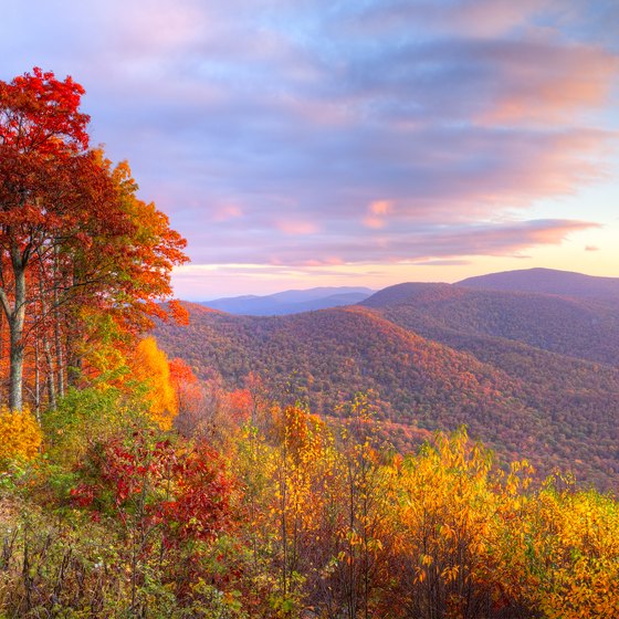 The Closest Shenandoah Hiking Trails To Dc Usa Today