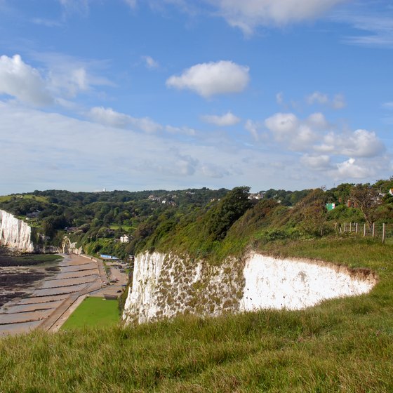 What Makes the White Cliffs of Dover White?