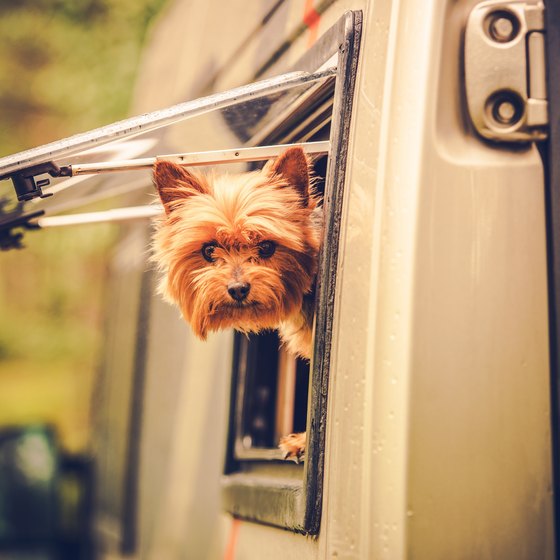 Pet Friendly RV Parks in Florida