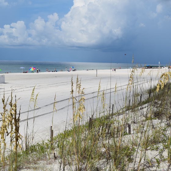 Swimming at Orange Beach, AL