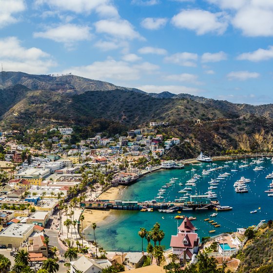 Cars Allowed on Catalina Island