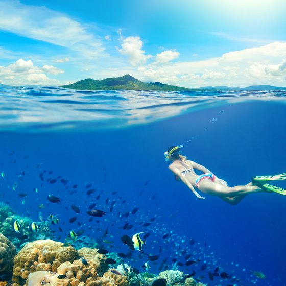 Snorkeling on the Island of Mujeres