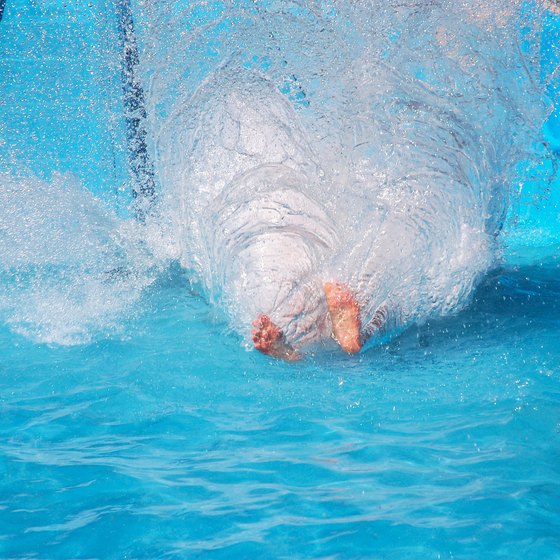 Indoor Water Parks in Maryland