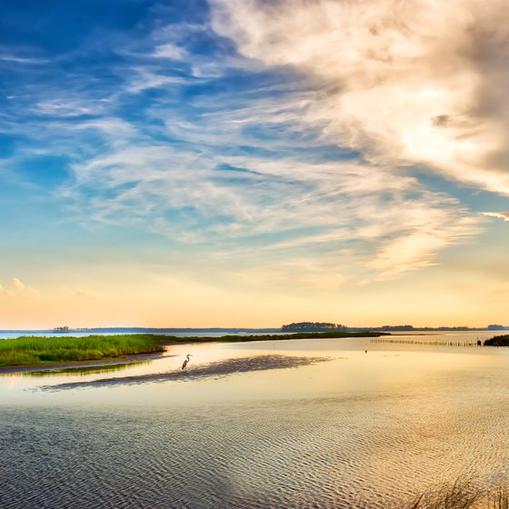 Beaches in Northeast Maryland