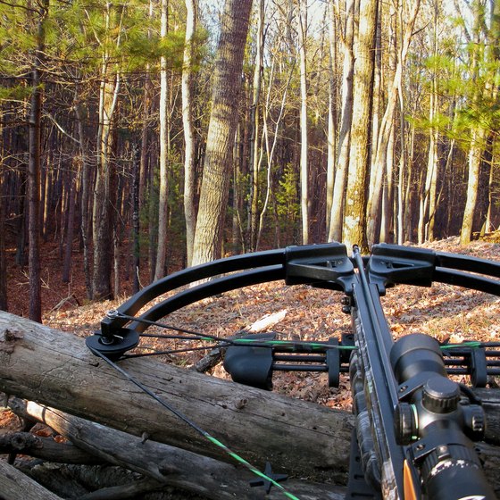 Pennsylvania Crossbow Hunting Laws