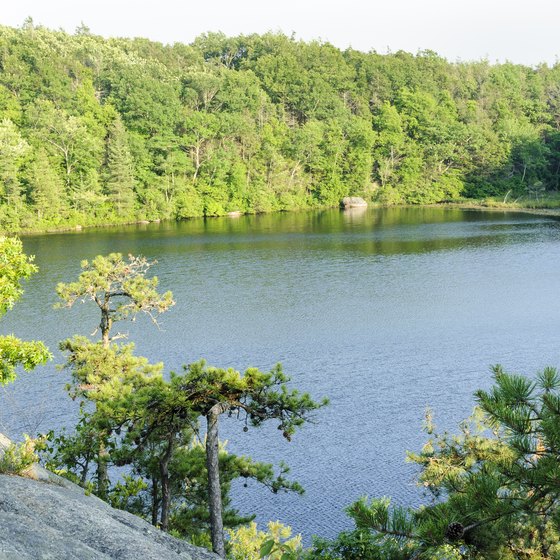 Things to Do at Lake Ariel in the Poconos