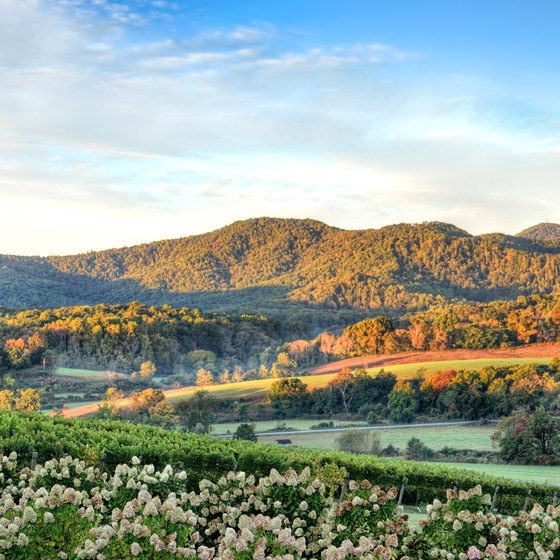 Hotels Near the Virginia Border on I-81