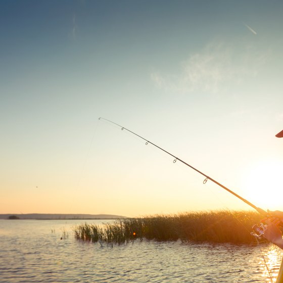 Fishing Vacation Cabins in Tennessee