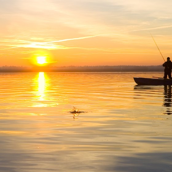 Flounder Fishing Regulations in Virginia