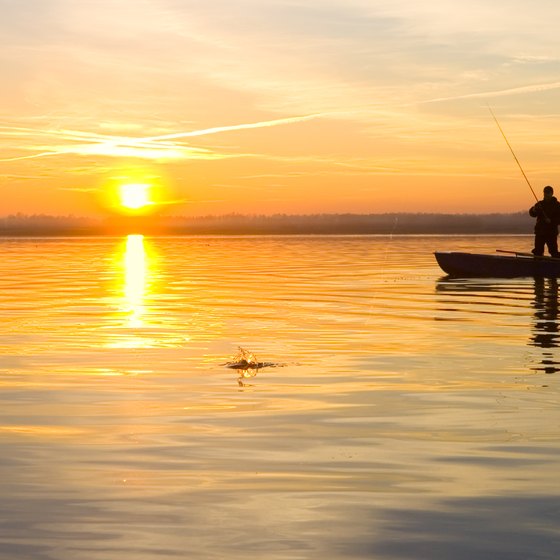 Flounder Fishing Regulations in Virginia USA Today