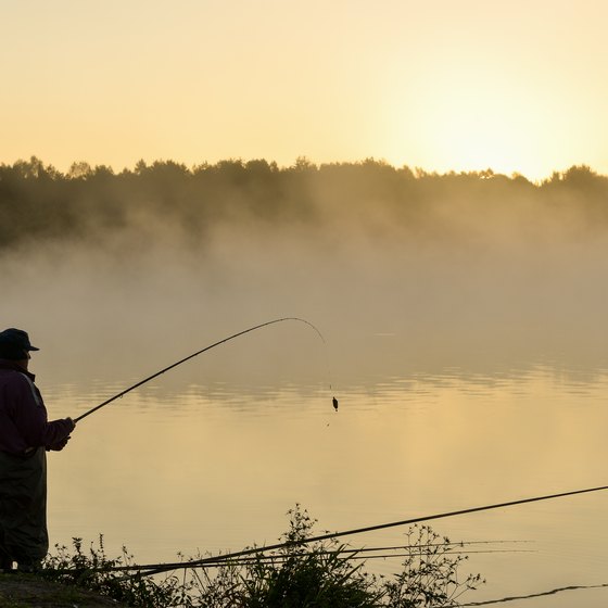 Michigan Campgrounds with Fishing