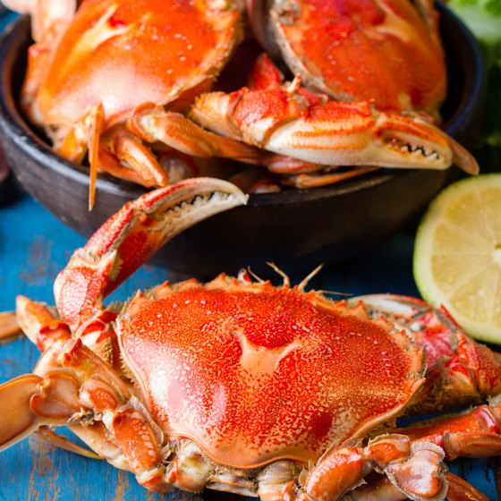 Crab Festival in Maryland USA Today