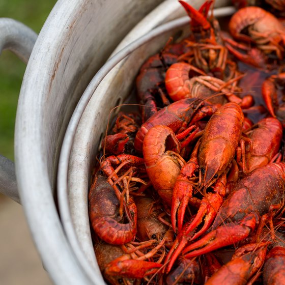 Biloxi Crawfish Festival