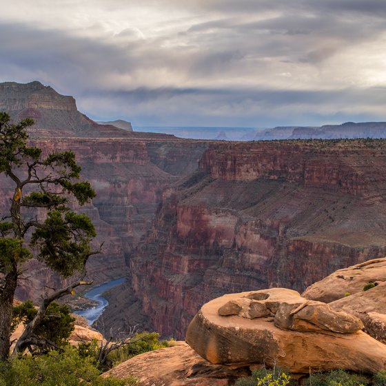 Grand Canyon Horseback Tours