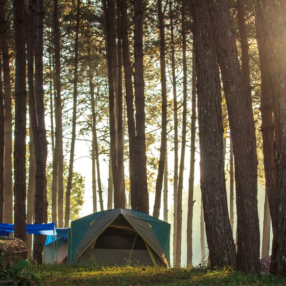 Camping in Yosemite in February