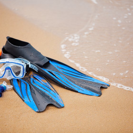 Snorkeling Off the Gulf Coast of Alabama