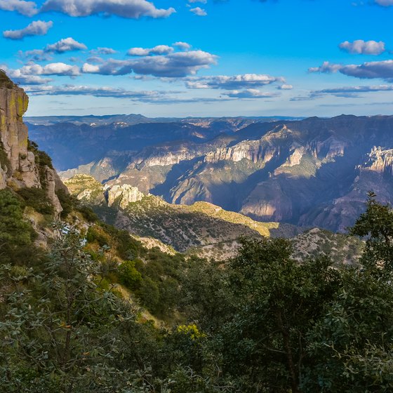 Sierra Madre Mountains, Mexico Copper Canyon Tours